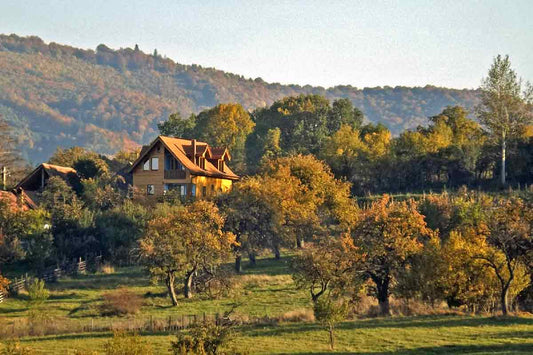 The Eternal Return: How Off-Grid Living Reconnects Us to Tradition Through Technology